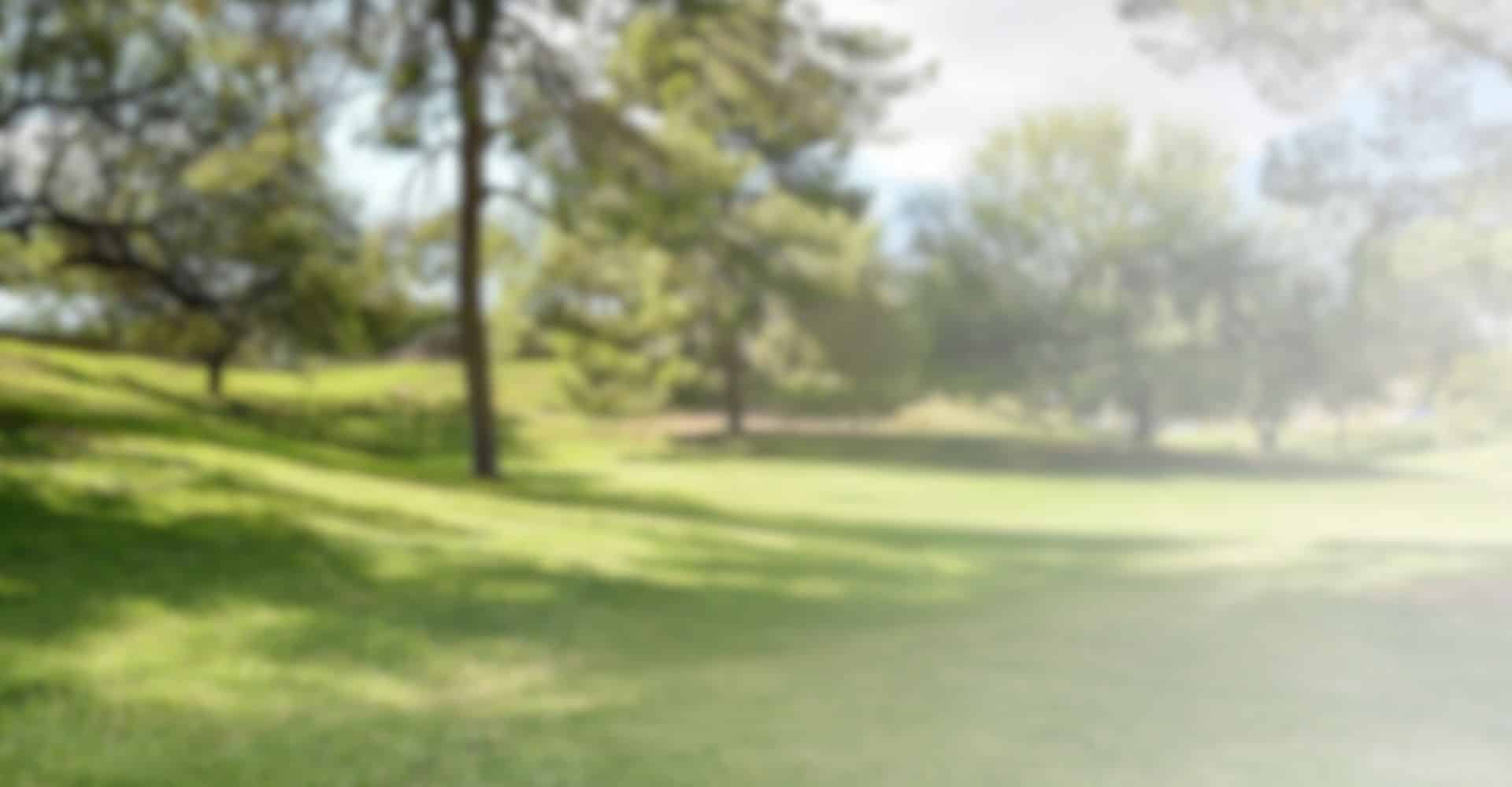 invitaciones digitales