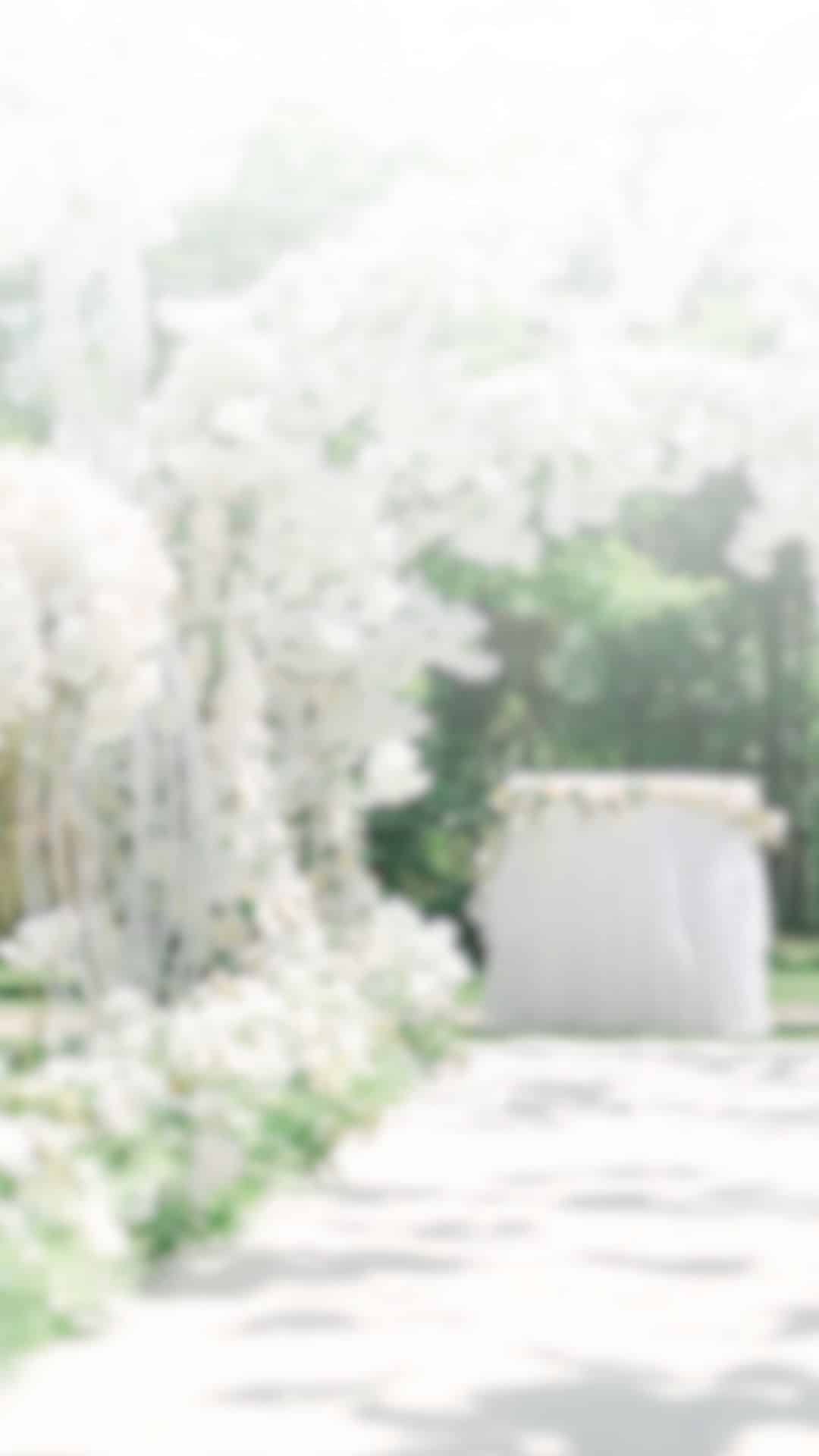 invitaciones digitales