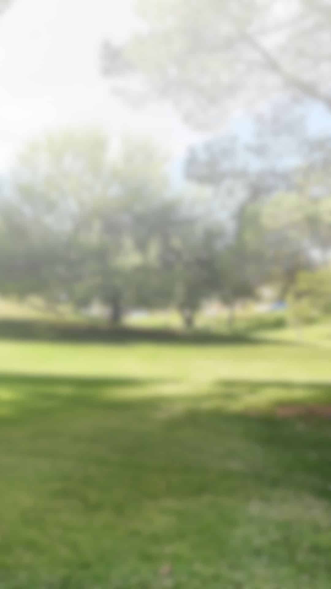 invitaciones digitales