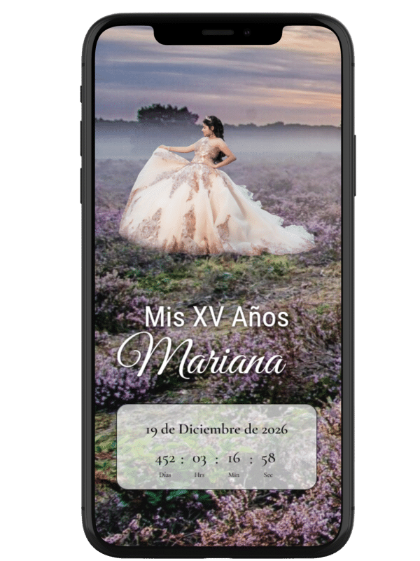 Invitacion Digital XV - Image 4